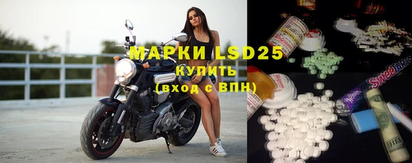 спиды Новокубанск