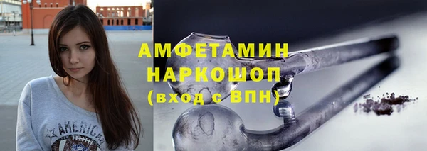 сатива Новодвинск