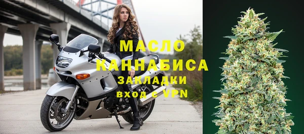 сатива Новодвинск