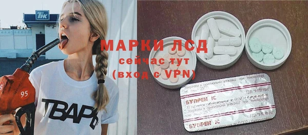 сатива Новодвинск