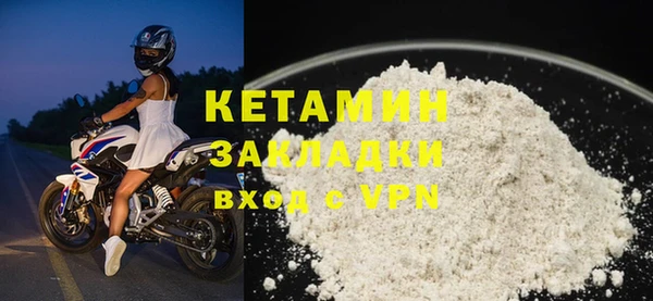 сатива Новодвинск