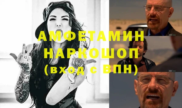 сатива Новодвинск