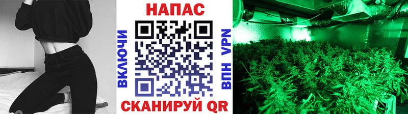 Шишки марихуана MAZAR  Злынка 